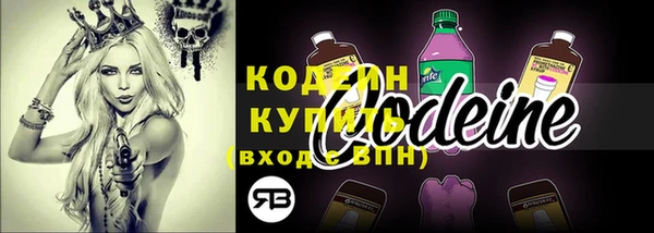мет Ельня