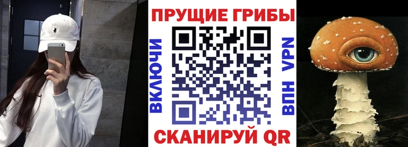 Галлюциногенные грибы Psilocybe  MEGA ссылка  Усинск 